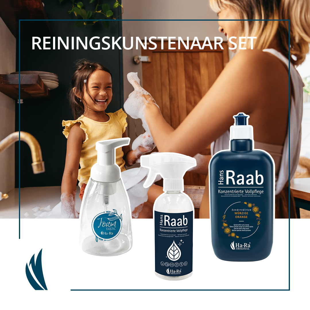 Reinigingskunstenaar set